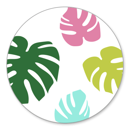 Gekleurde Monstera